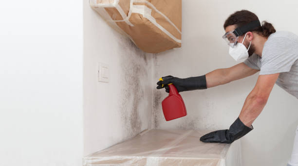 Professional Bathroom Mold Removal technician working in James Creek, PA